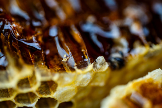 日本みつばちのハチミツ(たらし蜜) 120ml