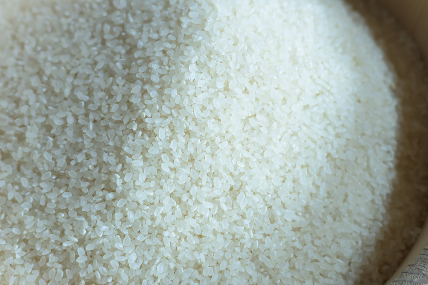 亀の尾 掛け干し 米 栽培期間中無農薬無肥料 5キロ