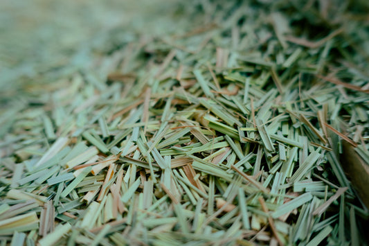 ドライレモングラス カット 2024年 8g 量り売り 無農薬無化学肥料 大分県日田市産