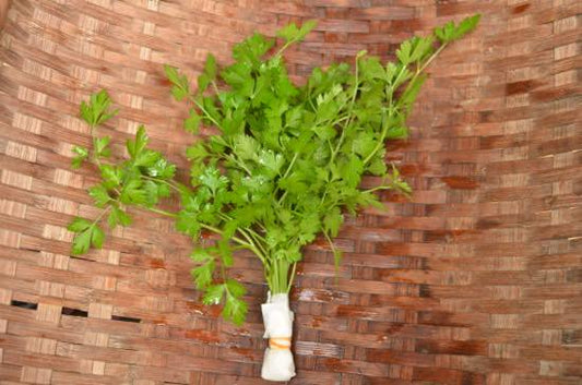 フレッシュイタリアンパセリ 25g 東峰村産