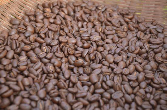 きこりコーヒー 薪焙煎 100g