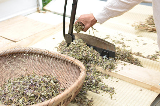非加熱乾燥無農薬栽培のトゥルシー(ホーリーバジル)ティー
