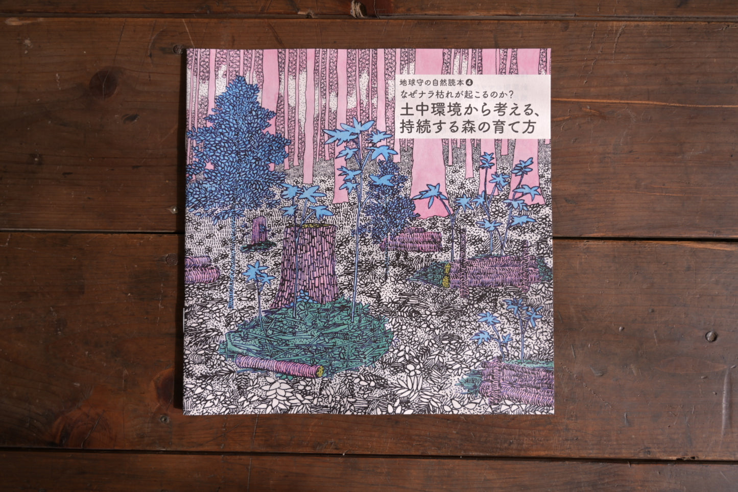 土中環境から考える、持続する森の育て方 地球守の自然読本 4
