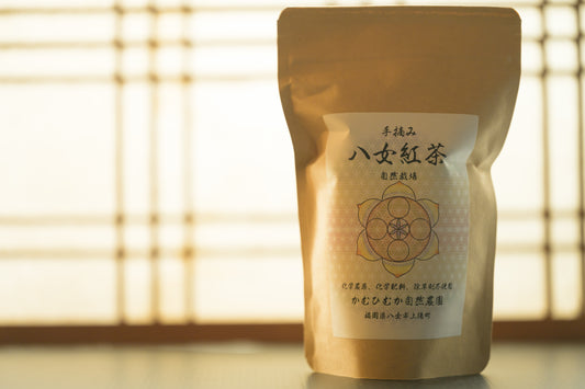 八女紅茶 40g 無農薬無化学肥料栽培 かむひむか自然農園