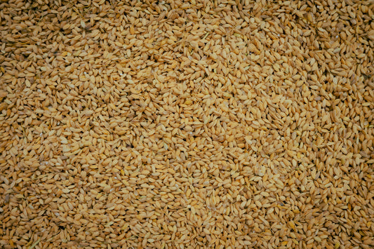 亀の尾 掛け干し 米 栽培期間中無農薬無肥料 5キロ