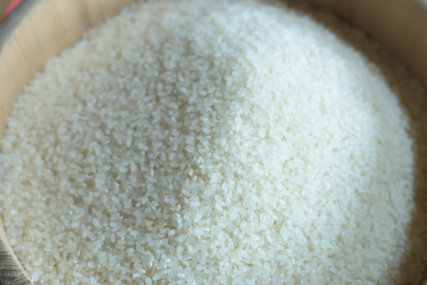 ヒノヒカリ 米 減農薬無肥料 5キロ